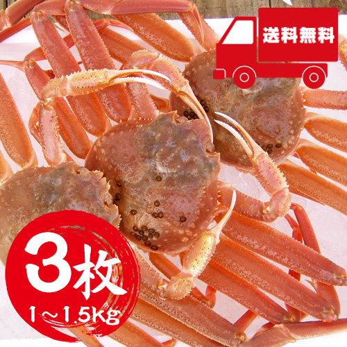 香住産 若松葉がに 3枚 1～1.5kg [活生](2月中旬以降発送予定)