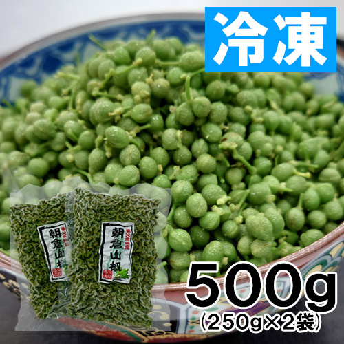 【送料無料】養父市特産 朝倉山椒 約500g 冷凍 あく抜き済み【6月上旬以降のお届け予定】