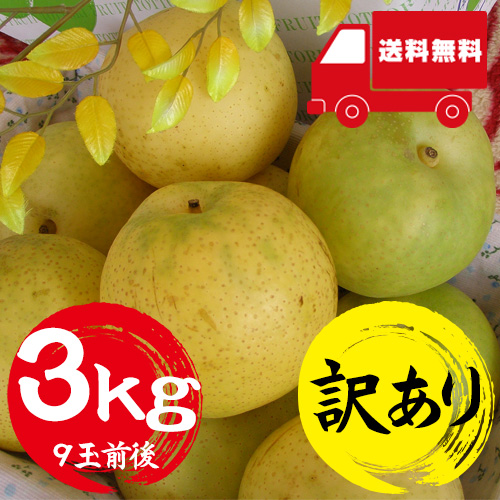 【送料無料】 鳥取産 二十世紀梨 3kg 9玉前後 訳あり 9月10日以降のお届け予定