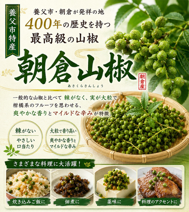 養父市特産 朝倉山椒 約1kg 冷凍 あく抜き済み