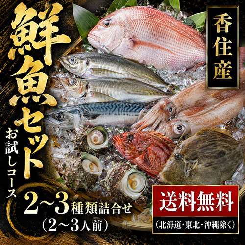 送料無料】 おまかせ鮮魚セット お試しコース