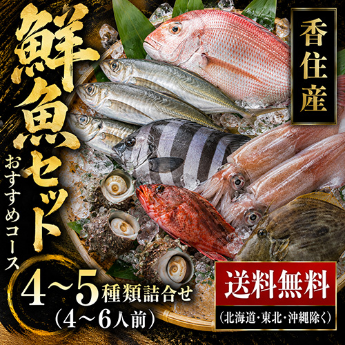 送料無料】 おまかせ鮮魚セット おすすめコース