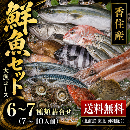 【送料無料】 おまかせ鮮魚セット 大漁コース [お中元 母の日 父の日 敬老の日 ギフト]