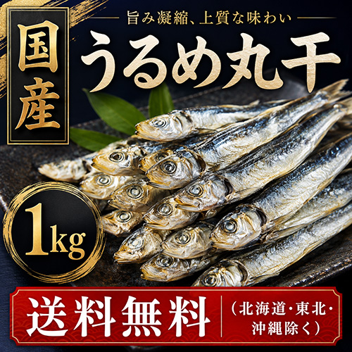 【送料無料】 国産 うるめ丸干 1kg [お中元 お歳暮 母の日 父の日 敬老の日 ギフト]