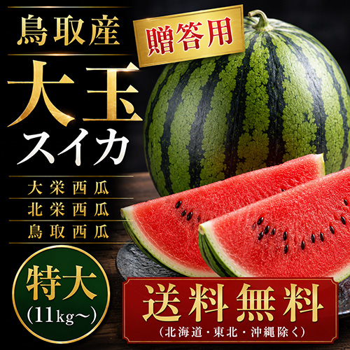 【送料無料】 鳥取産 大玉すいか 特大 1玉 11kg～ 贈答用 [お中元 ギフト]