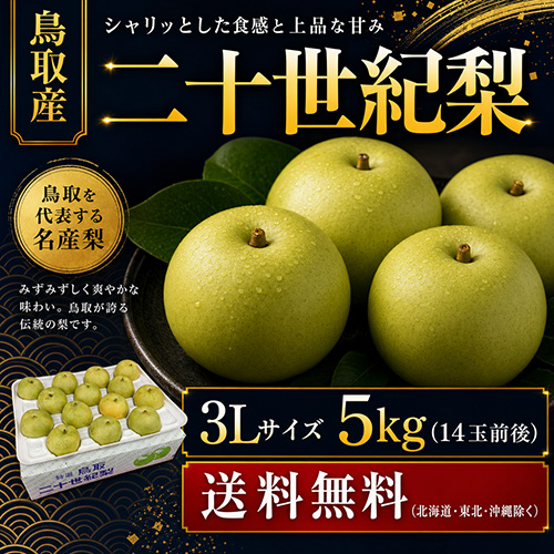 【送料無料】 鳥取産 二十世紀梨 3L 5kg 14玉前後 贈答用 8月下旬以降のお届け予定