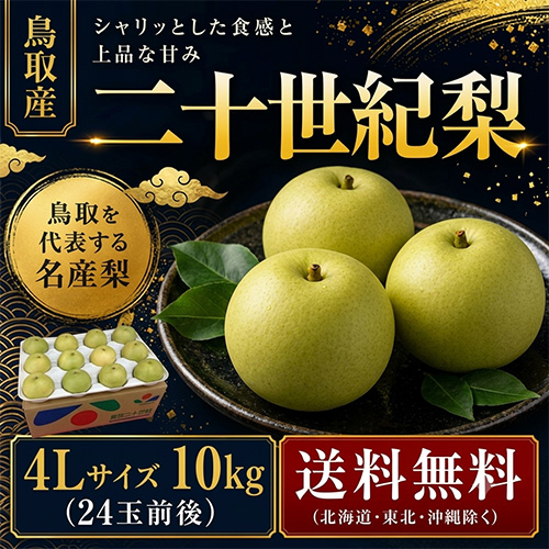【送料無料】 鳥取産 二十世紀梨 4L 10kg 24玉前後 贈答用 8月下旬以降のお届け予定