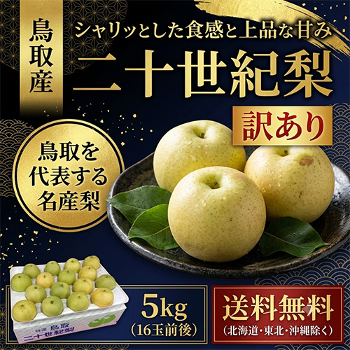 【送料無料】 鳥取産 二十世紀梨 5kg 16玉前後 訳あり 9月10日以降のお届け予定
