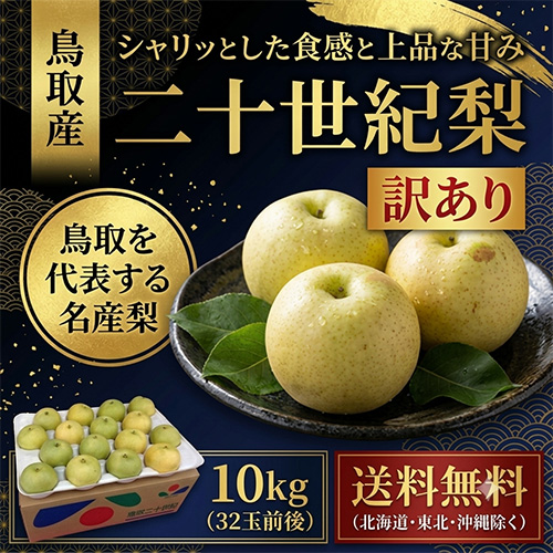 【送料無料】 鳥取産 二十世紀梨 10kg 32玉前後 訳あり 自宅用 家庭用 9月上旬以降のお届け予定