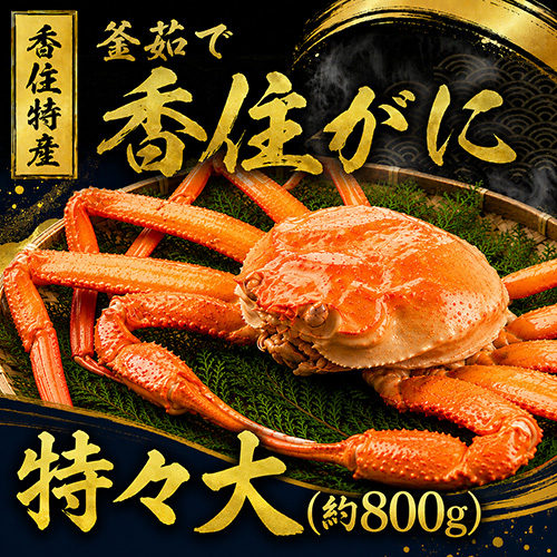 香住産 茹で香住がに 特々大 1匹 [お歳暮 母の日 敬老の日 ギフト]