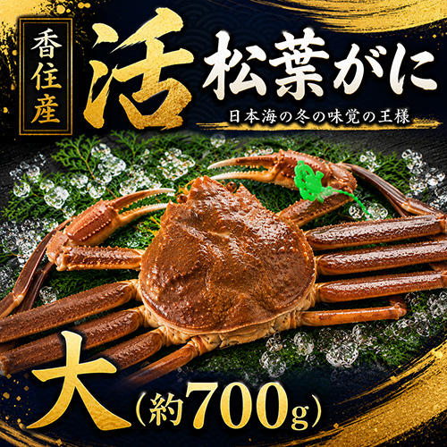 香住産 活松葉がに 大 1匹 約700g [お歳暮 ギフト]