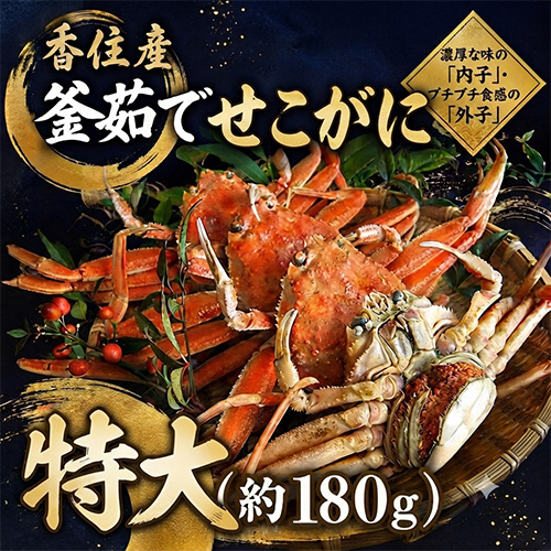 香住産 茹でせこがに 特大 1匹 [お歳暮 ギフト]
