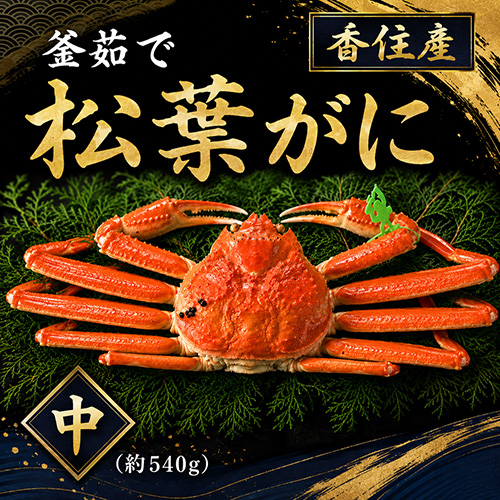 香住産 茹で松葉がに 中 1匹 約540g [お歳暮 ギフト]
