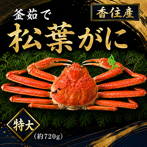 香住産 茹で松葉がに 特大 1匹 約720g [お歳暮 ギフト]