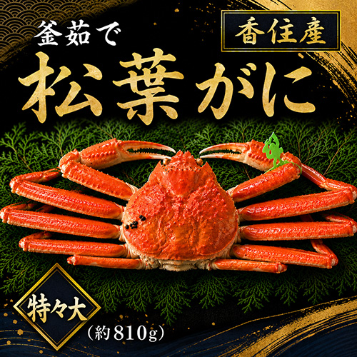香住産 茹で松葉がに 特々大 1匹 約810g [お歳暮 ギフト]