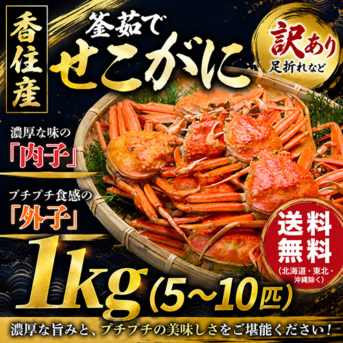 【送料無料】 香住産 茹でせこがに 5～10匹 約1kg 訳あり [お歳暮 ギフト]