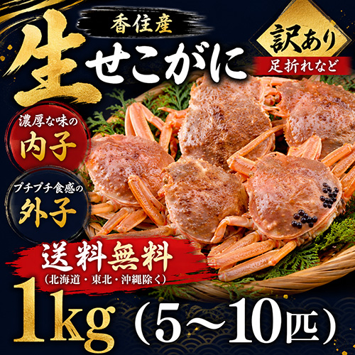 【送料無料】 香住産 生せこがに 5～10匹 約1kg 訳あり [お歳暮 ギフト]