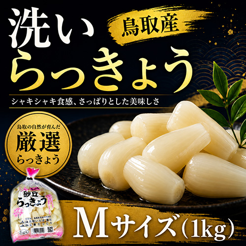 鳥取産 洗いらっきょう Ｍ 1kg（5月下旬以降のお届け）