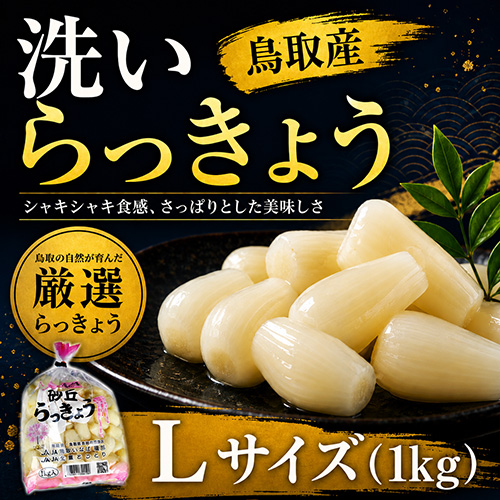 鳥取産 洗いらっきょう Ｌ 1kg（5月下旬以降のお届け）