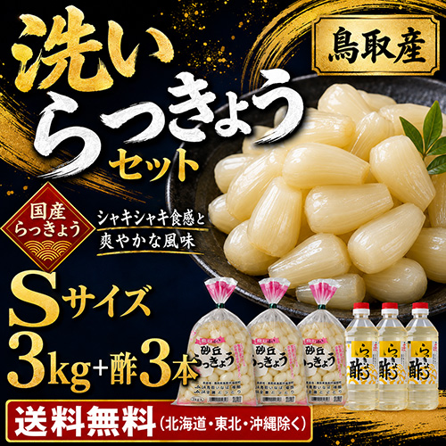 【送料無料】 鳥取産 洗いらっきょうセット S 3kg+酢（5月下旬以降のお届け）