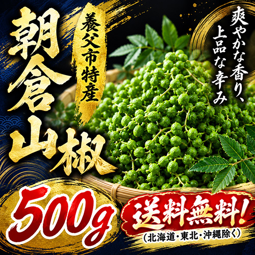 養父市特産 朝倉山椒 約500g