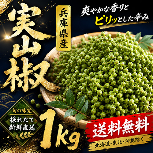 【送料無料】 兵庫県産 実山椒 約1kg 【5月下旬以降のお届け予定】