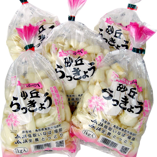 送料無料】 鳥取産 洗いらっきょう L 5kg