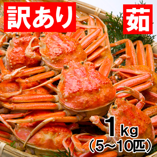 【予約】【送料無料】 香住産 茹でせこがに 5～10匹 約1kg 訳あり [お歳暮 ギフト]