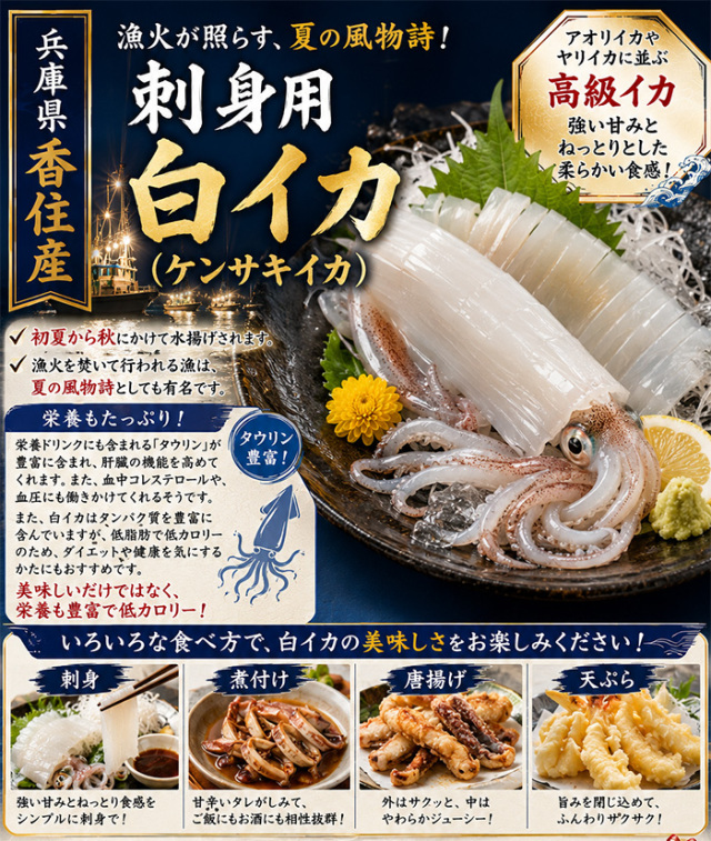 送料無料】 香住産 白いか 大箱 4～8杯入
