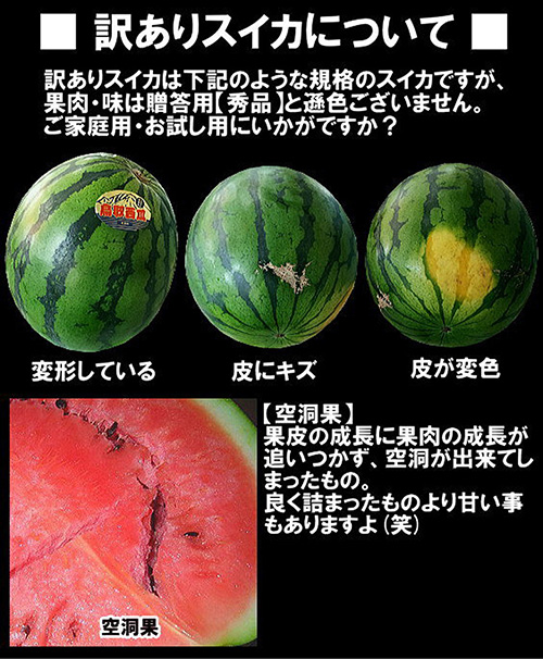 送料無料】 鳥取産 大玉すいか 特大 1玉 10kg～ 訳あり