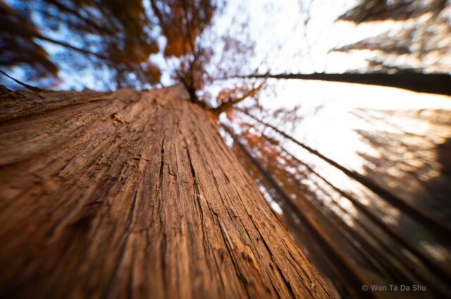 LAOWA 9mm F5.6 W-Dreamer BK 各マウント