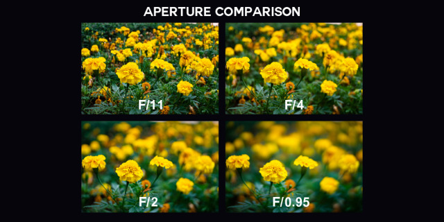 【保証付】LAOWA 33mm F0.95 APO ニコン Zマウント LAOWA Argus CF 33mm F0.95 APO | 製品情報 | LAOWA