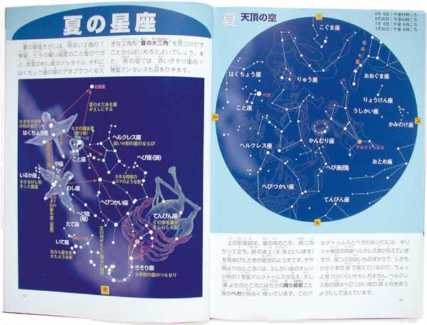 洋書◇ 星の図鑑 星座 STARS 天文書 イギリス 古書 1910年 最終価格
