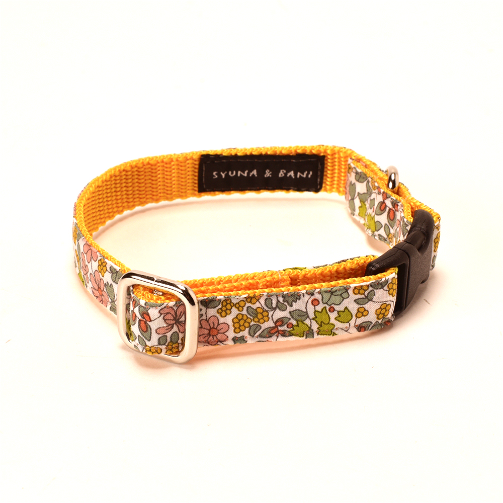 プチジャルダンカラー