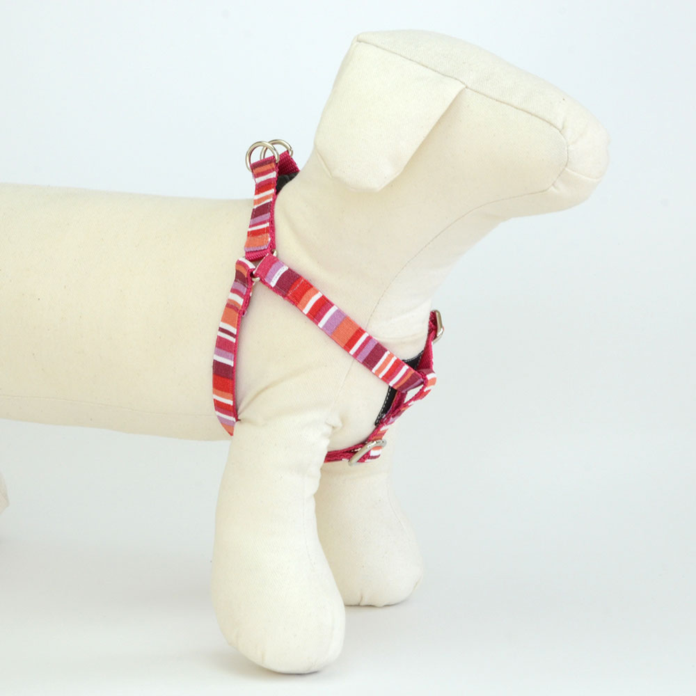 プチサマーハーネス