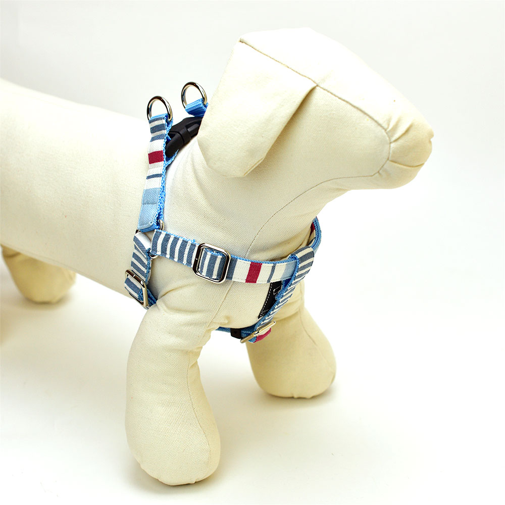 スカイハーネス