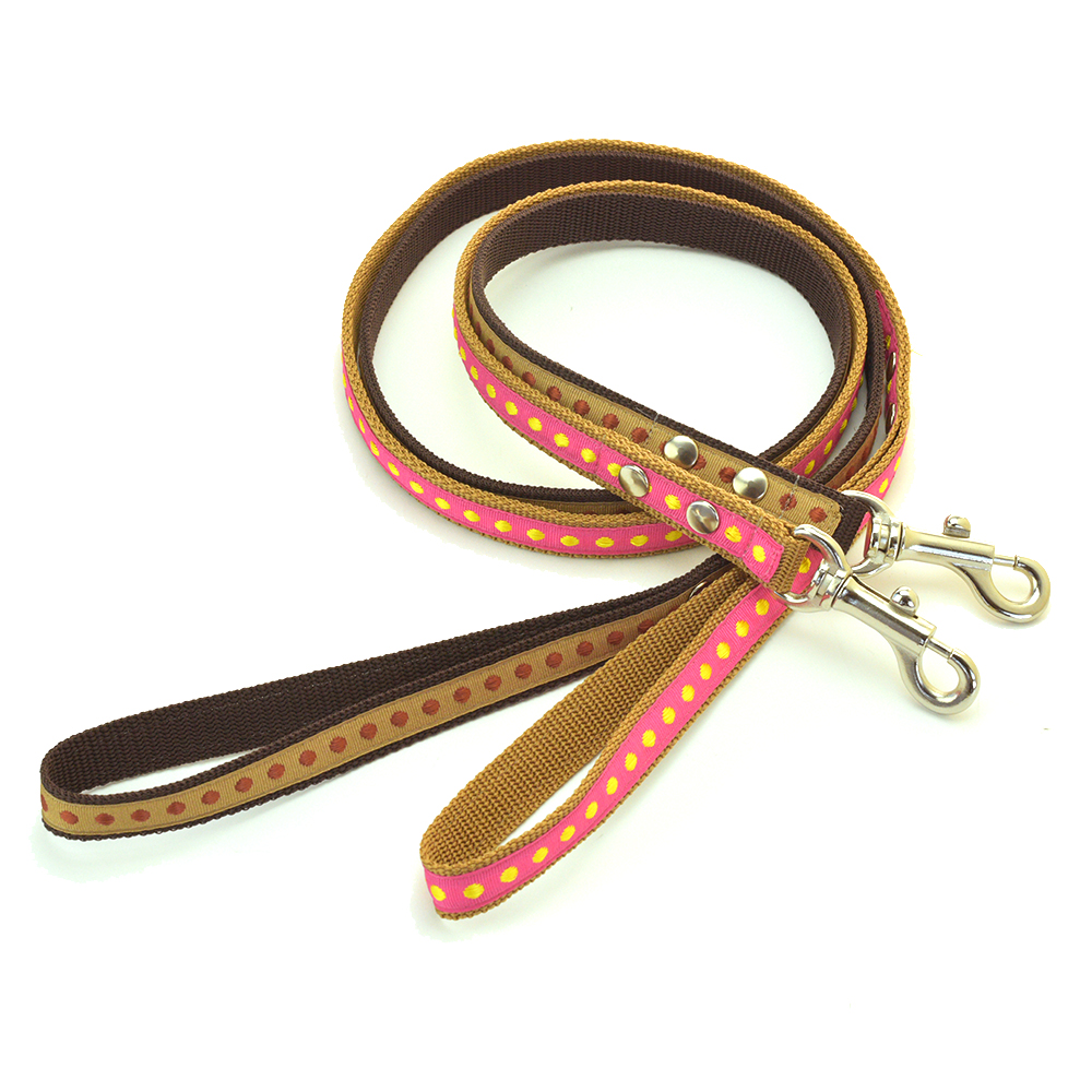 プチドットリード