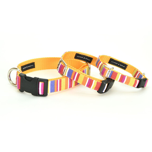 プチサマーカラー