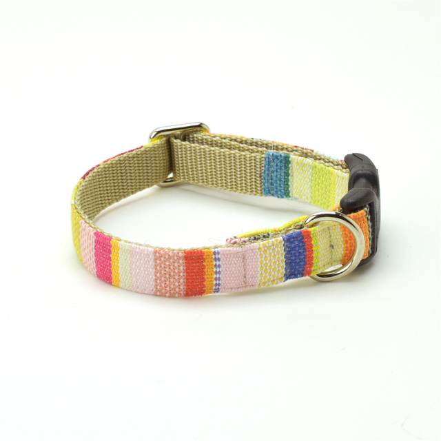 フリーダムカラー