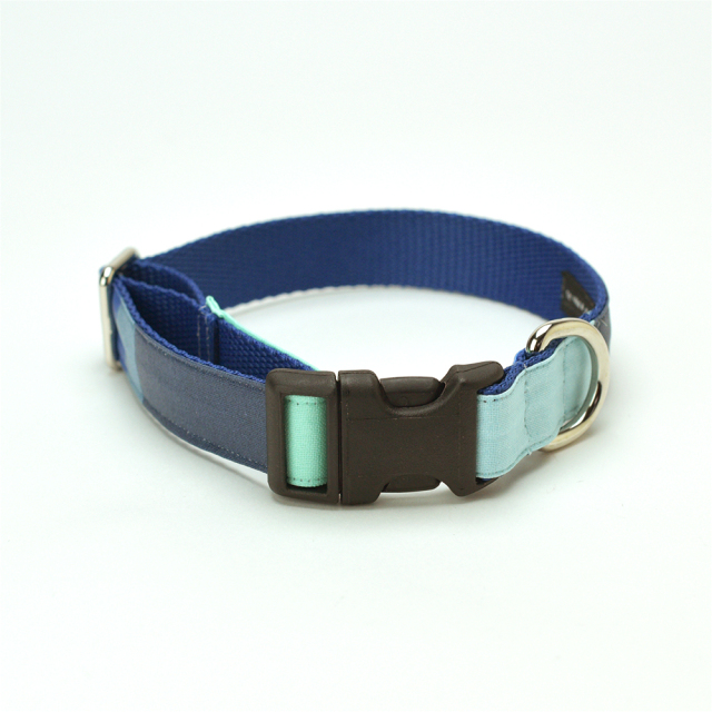 オーシャンカラー