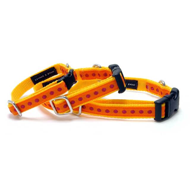 プチドットカラー