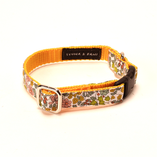 プチジャルダンカラー