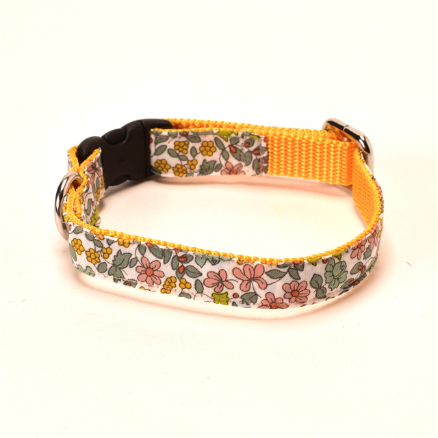 プチジャルダンカラー