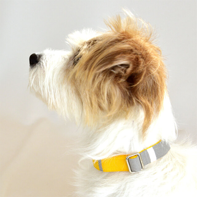 フローラルカラー