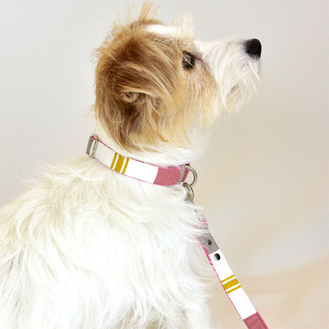 フローラルカラー