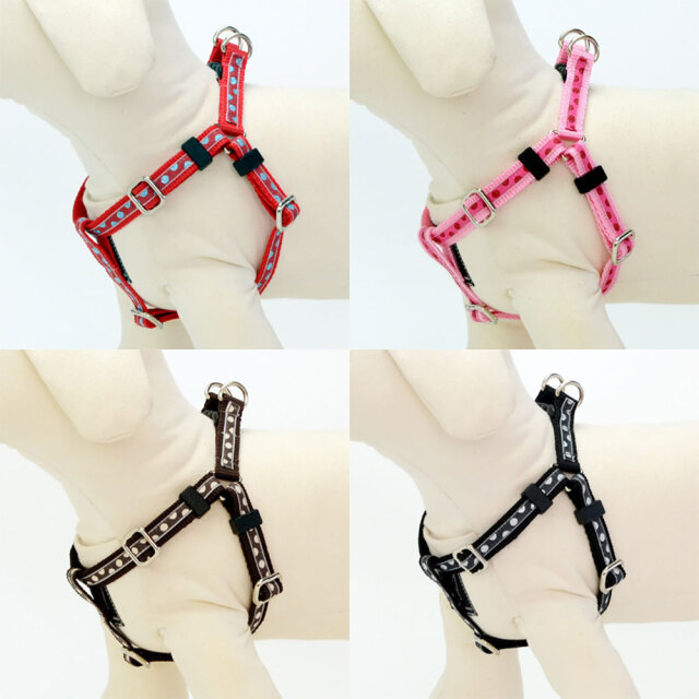 ミニドットハーネス