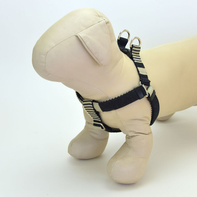 ブラックボーダーハーネス