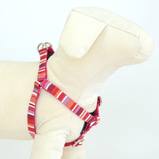 プチサマーハーネス