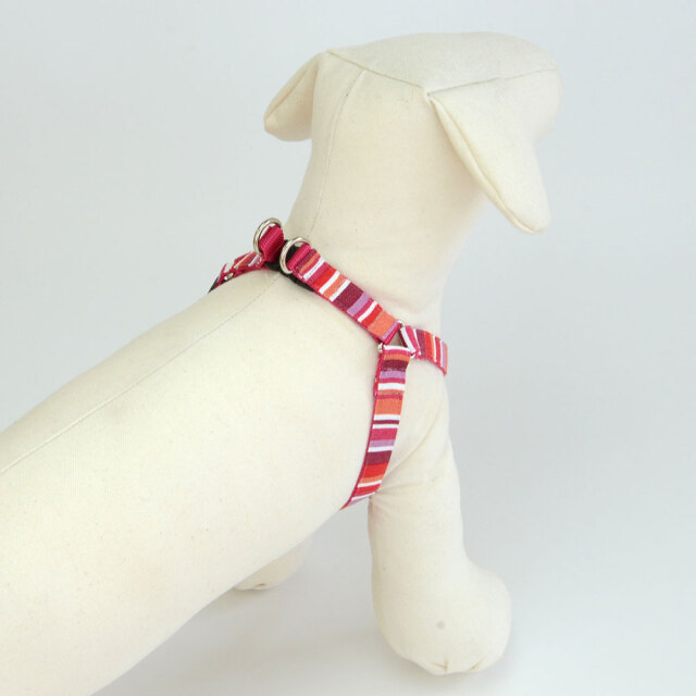 プチサマーハーネス