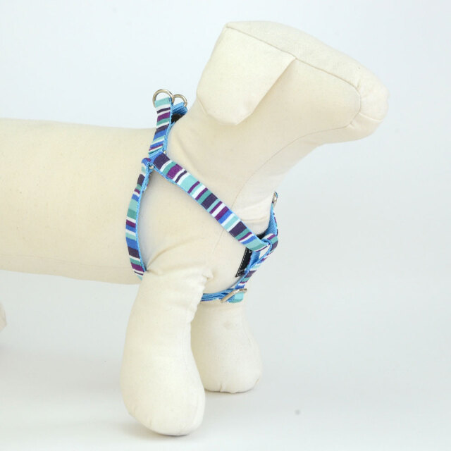 プチサマーハーネス